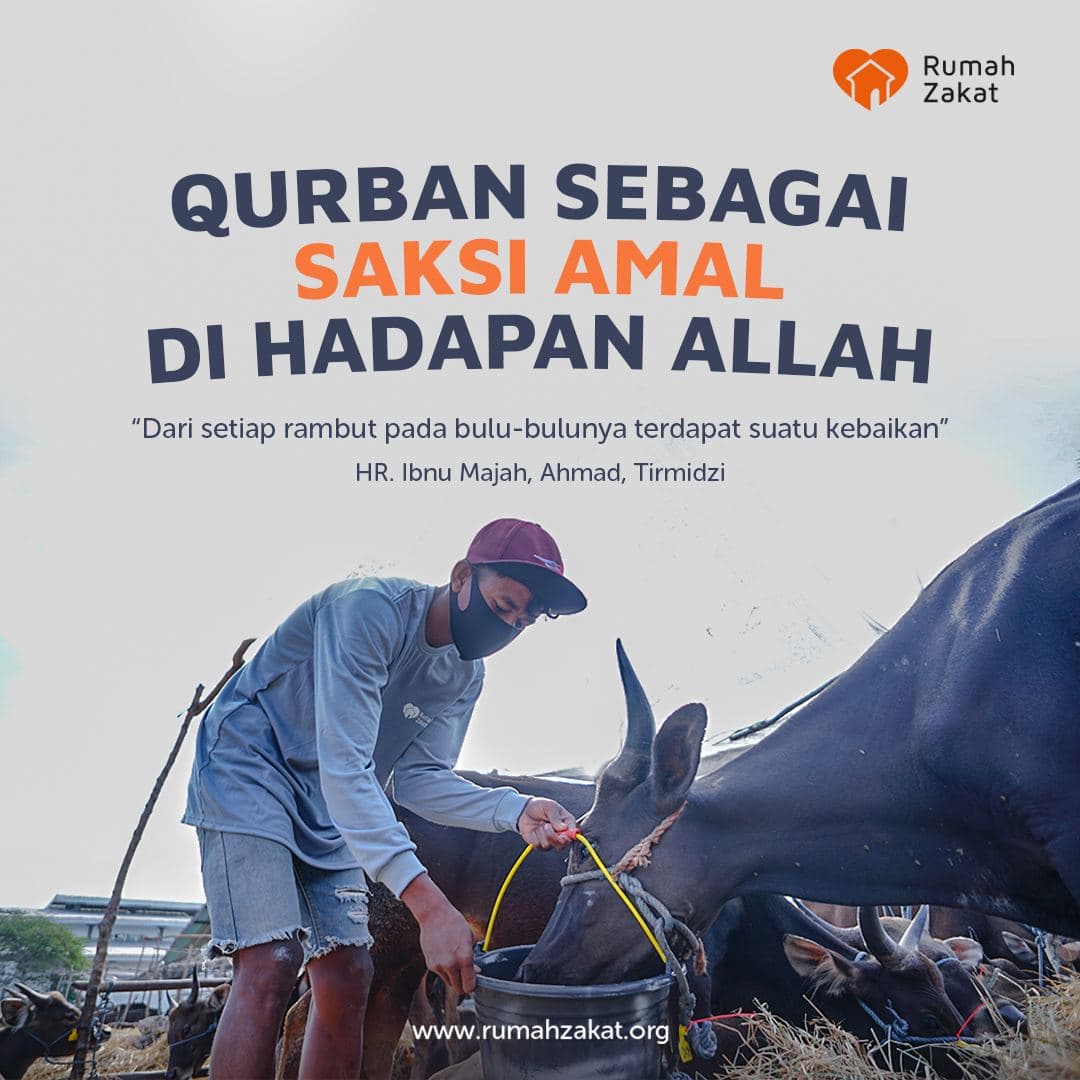 KEUTAMAAN BERQURBAN - Rumah Zakat